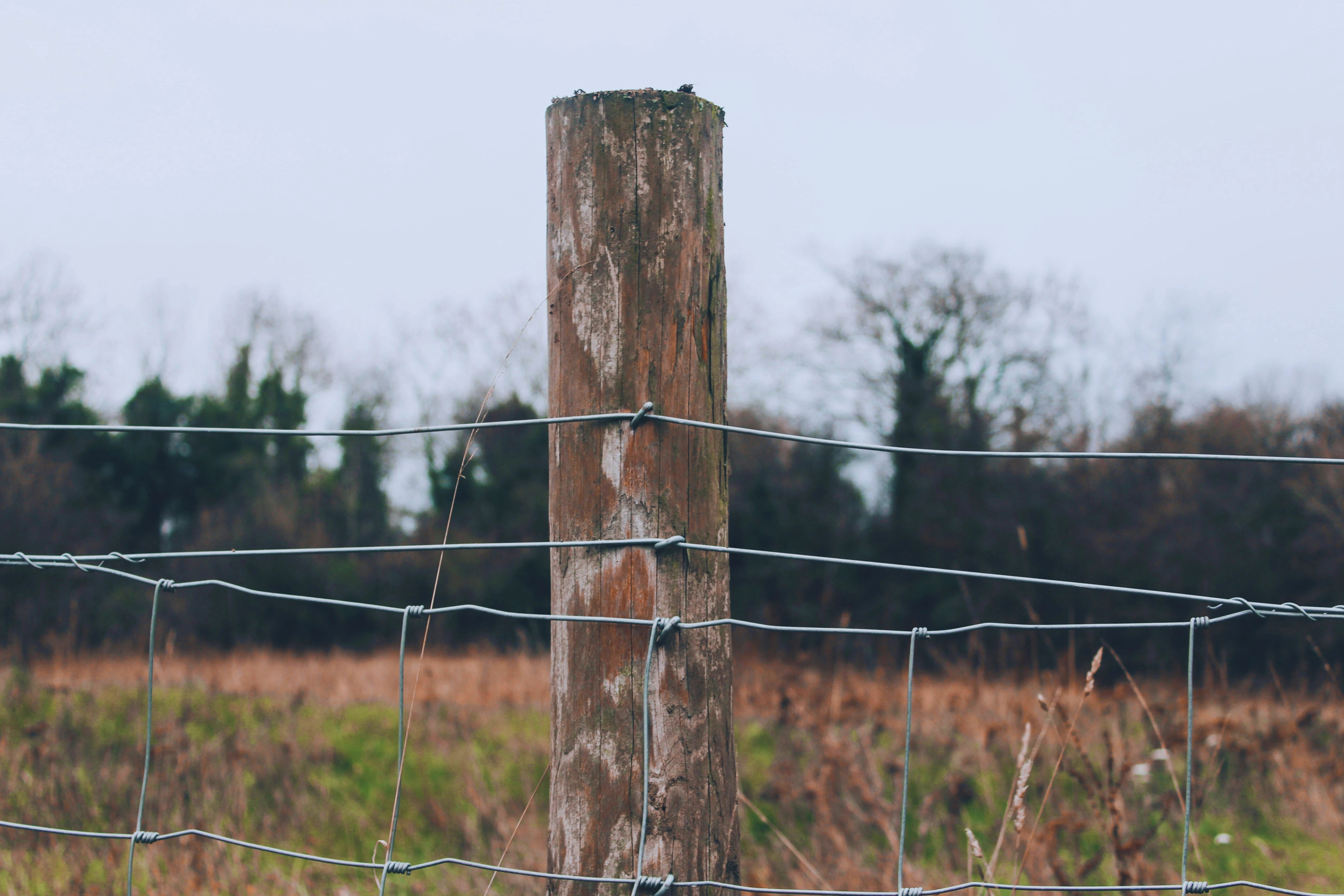 Farm & Fencing