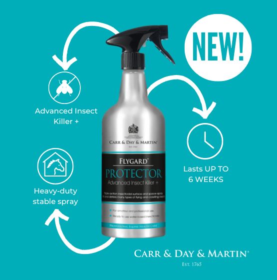 Carr & Day & Martin Flygard  Protector 1L