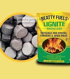 1 Tonne of Lignite Nuggets (Smokeless) (50 x 20kg bags) - Fuel089