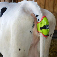 Load image into Gallery viewer, Moocall Calving Sensor - MC002