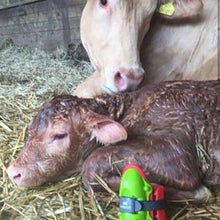 Load image into Gallery viewer, Moocall Calving Sensor - MC002